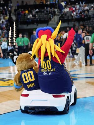 Image post by @freddyfever on Instagram