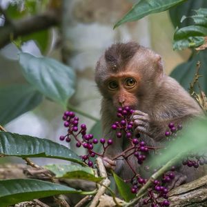 Image post by @bbcearth on Instagram