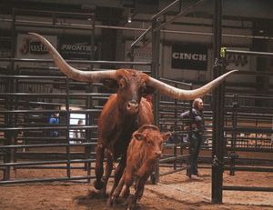 Image post by @nationalwestern on Instagram
