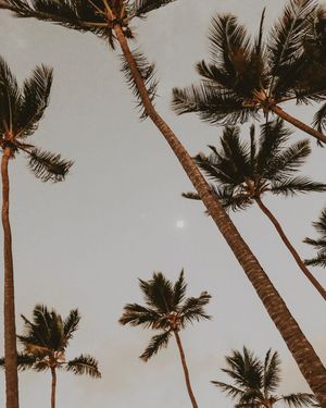 Image post by @maisonchemin on Instagram