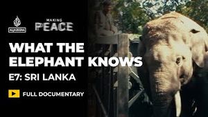 Video post by @Al Jazeera English on YouTube