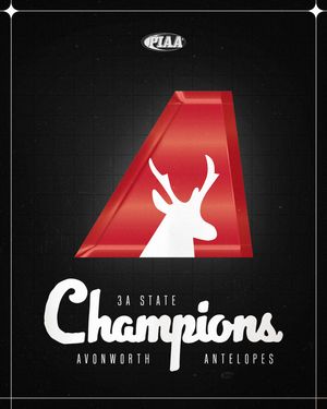 Image post by @steelersyouthfb on Instagram