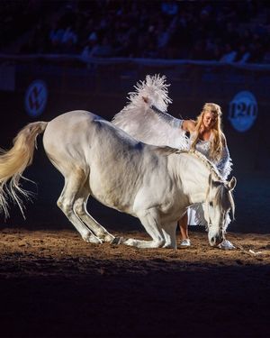 Image post by @nationalwestern on Instagram