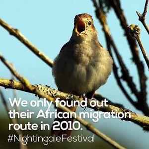 Image post by @rspb on Instagram