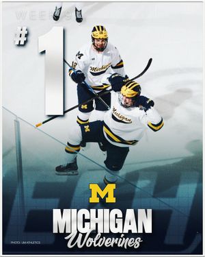 Image post by @everythingcollegehockey on Instagram