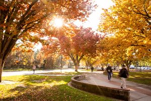 Image post by @sacstate on Twitter