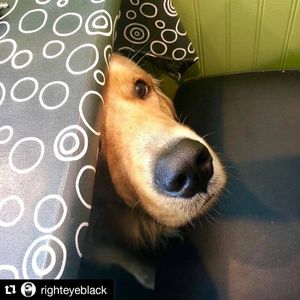 Image post by @chickensaladchick on Instagram