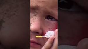 Video post by @curiositystreaming on YouTube