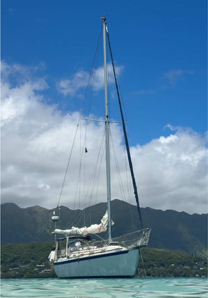 Video post by @sailing_with_phoenix on TikTok