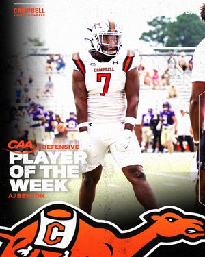 Image post by @gocamelsfb on Instagram
