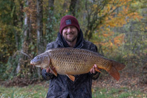Image post by @brothercarp on Instagram
