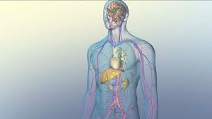Video post by @nucleusmedicalmedia on YouTube