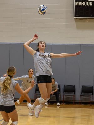 Image post by @elonvb on Instagram