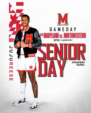 Image post by @terrapinhoops on Instagram