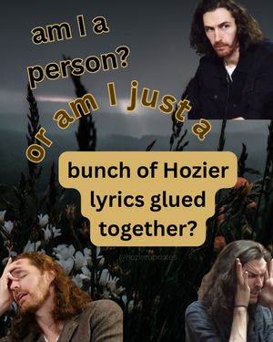 Image post by @hozierupdates on Instagram