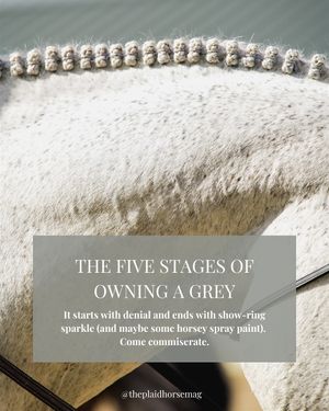 Image post by @theplaidhorsemag on Instagram