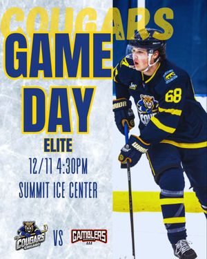 Image post by @chicagocougarshockey on Instagram