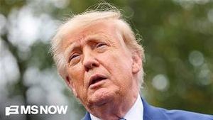 Video post by @msnbc on YouTube