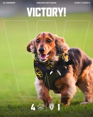 Image post by @charlestonbattery on Instagram
