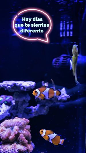 Video post by @aqualupi on Instagram
