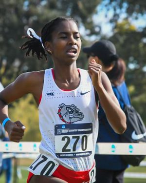 Image post by @zagrunning on Instagram