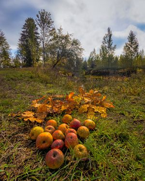 Image post by @cristan.nature.photography on Instagram