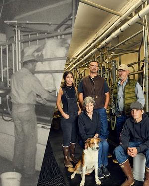 Image post by @Tillamook County Creamery Association on Facebook