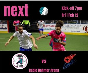 Image post by @stlouisambush on Instagram