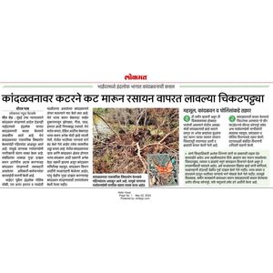 Image post by @imharshaddhage on Instagram