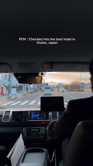 Video post by @stellalee92 on TikTok