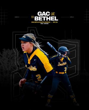 Image post by @gustiesoftball on Instagram