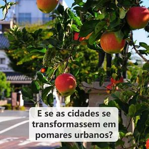 Image post by @operitoambiental on Instagram