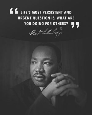 Image post by @bengals on Instagram