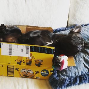 Image post by @amazon on Instagram