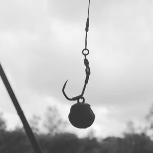Image post by @brothercarp on Instagram
