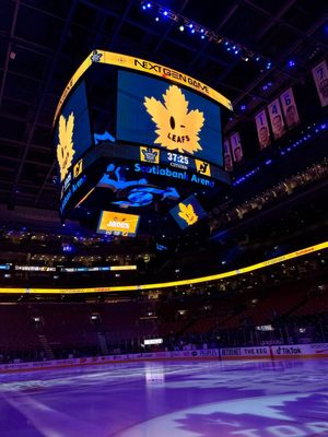 Image post by @MapleLeafs on Twitter