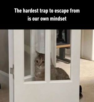 Image post by @9gag on Instagram