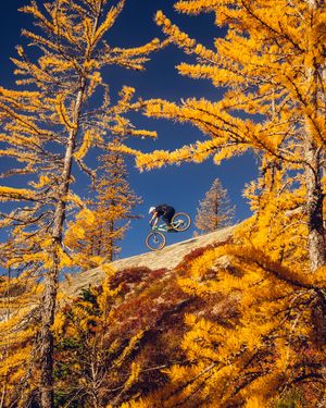 Image post by @spencerrathkamp on Instagram