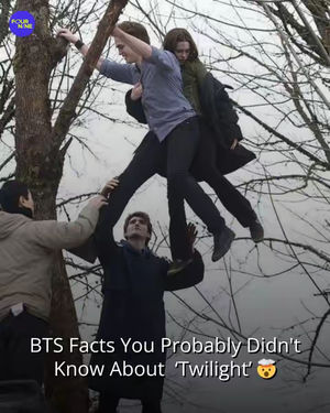 Image post by @four.nine on TikTok