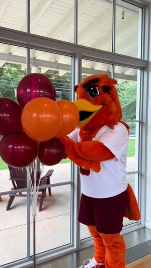 Video post by @susquehannau on Instagram