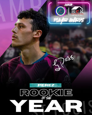Image post by @stlouisambush on Instagram