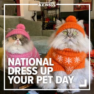 Image post by @kens5 on Instagram