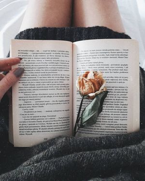 Image post by @kate.simple.life on Instagram