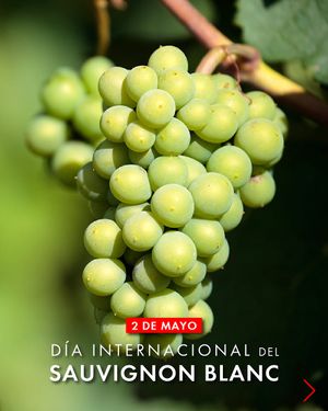 Image post by @riedelpartner_vnzla on Instagram