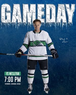 Image post by @endicottmih on Instagram