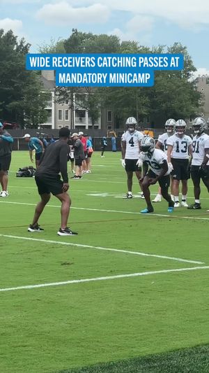 Video post by @panthers on TikTok