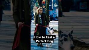 Video post by @oscars on YouTube