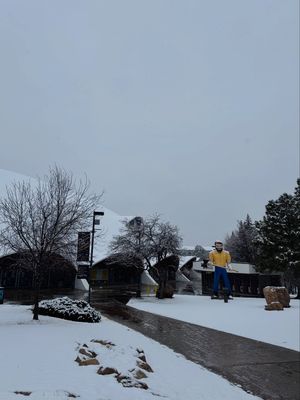 Image post by @nauflagstaff on Instagram