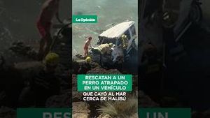 Video post by @laopinionla on YouTube