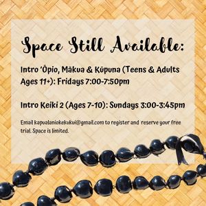 Image post by @kapualaniokekukui on Instagram